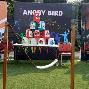 angery bird game for parties and events