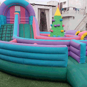 bouncy for birthday party and events