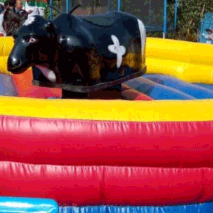bull ride on rent